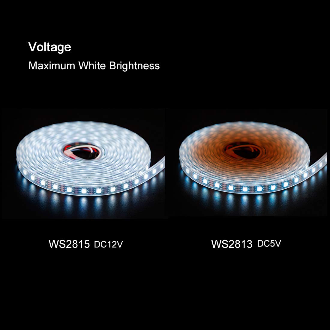 WS2815 LED Light Strips